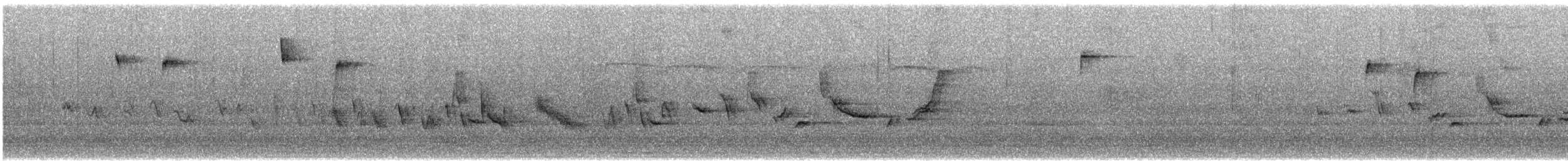 House Finch - ML646989854