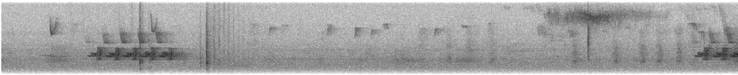 Carolina Wren - ML646989860