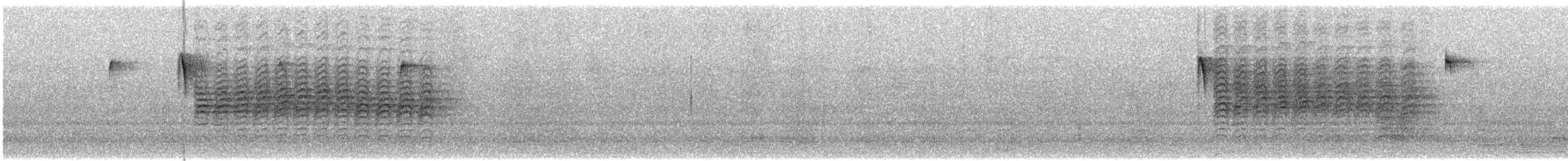 Carolina Chickadee - ML646989909