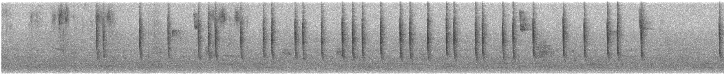 Rufous Hummingbird - ML646989997