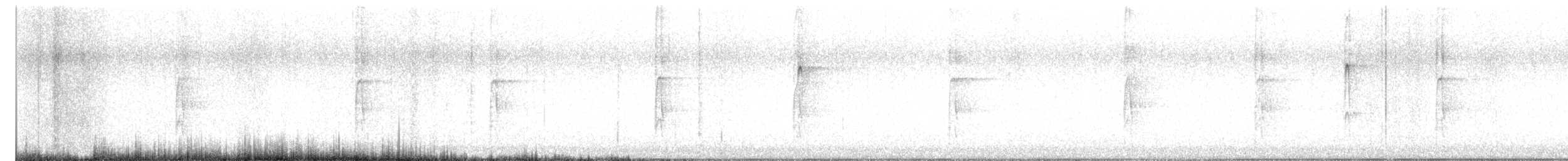 Hairy Woodpecker (Eastern) - ML646990085