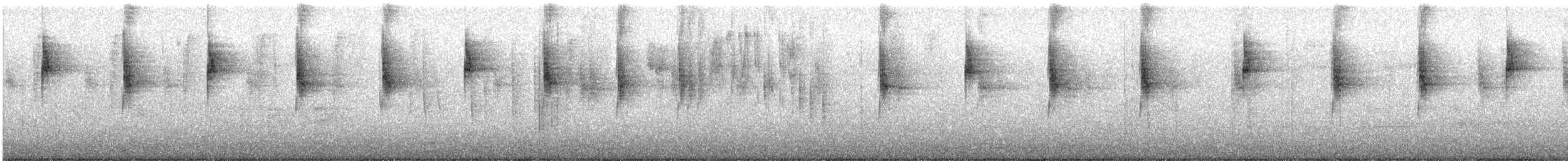 Glanz-Veilchenohrkolibri - ML646990277