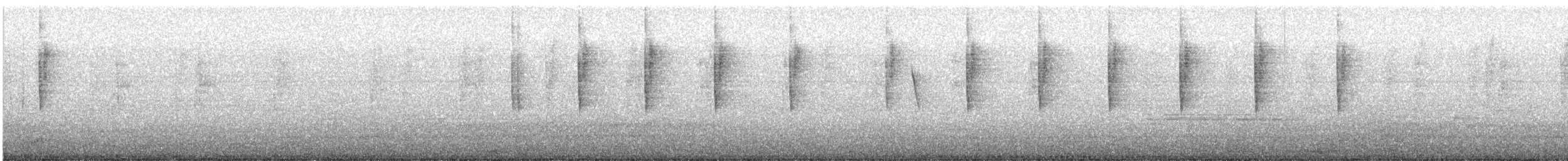 Glanz-Veilchenohrkolibri - ML646990278