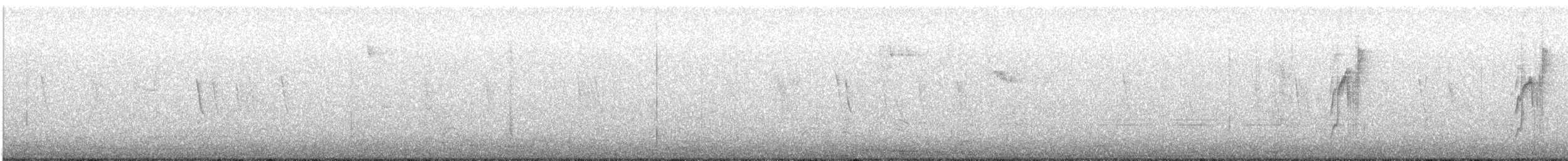 Meisentachurityrann - ML646990283