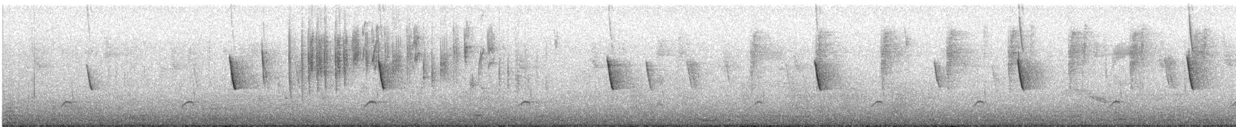 Morgenammer [capensis-Gruppe] - ML646990319