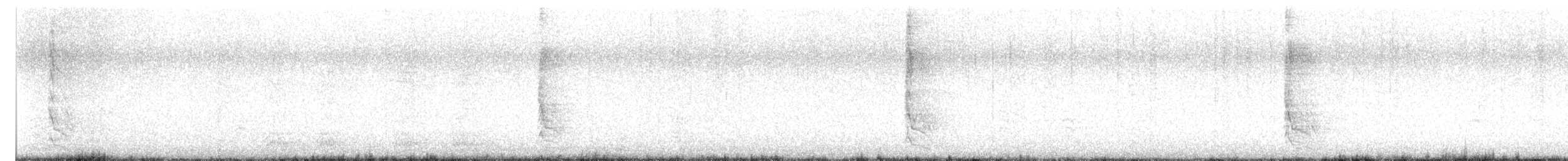 Каролинский дятел - ML646990454