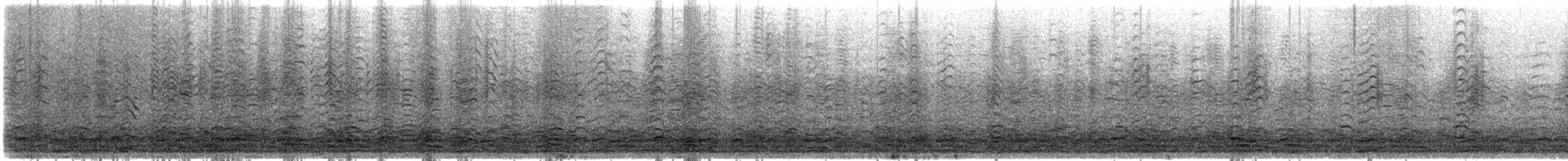 小加拿大雁 - ML646991221