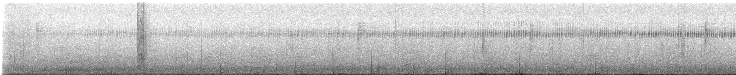 granparula - ML646991265