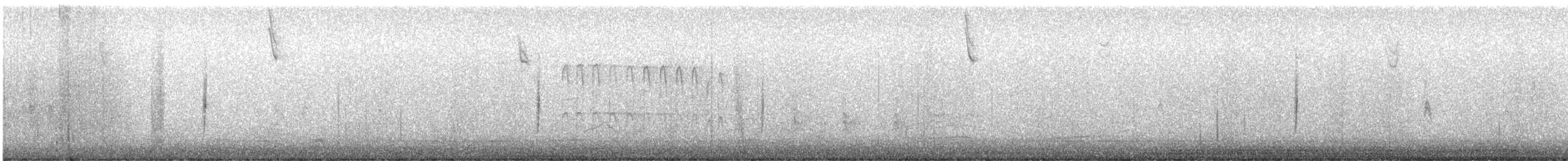 sisselspurv - ML646991318