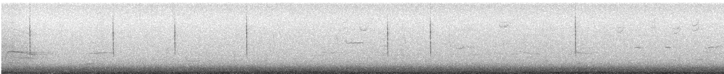 musespurv (sandwichensis gr.) - ML646991325