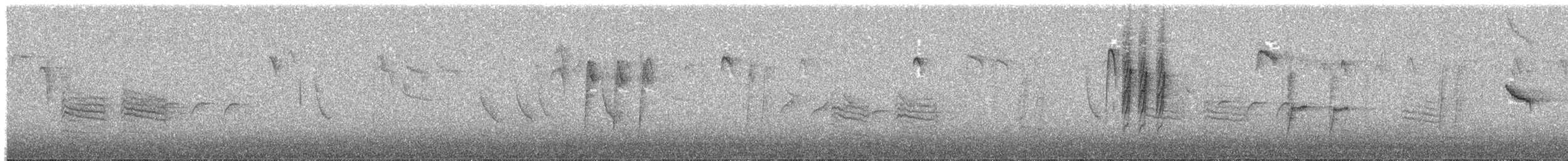 Гаїчка-пухляк звичайна - ML646991505