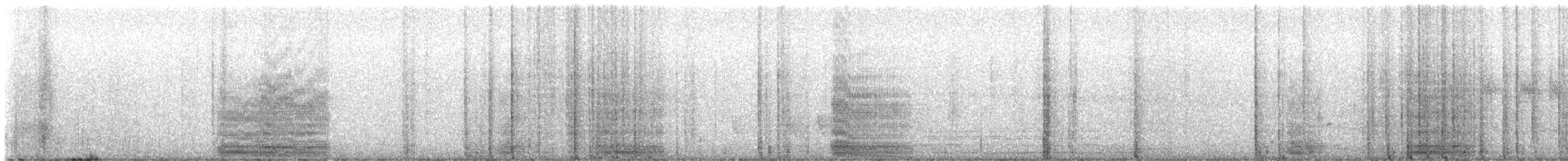 flekkvingedue (albipennis) - ML646991666