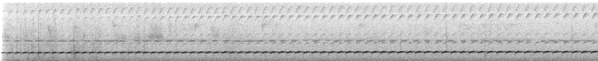 nettingmaurrikse - ML646991810