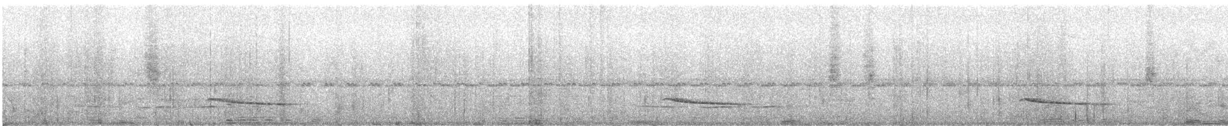 nettingmaurrikse - ML646991811