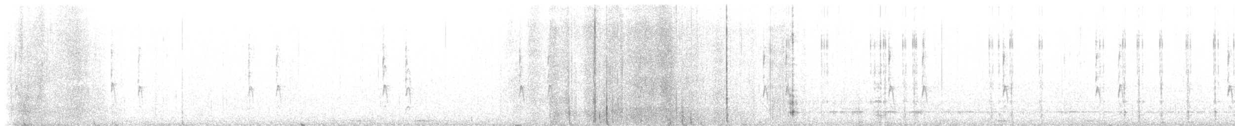 střízlík kanadský - ML646992118