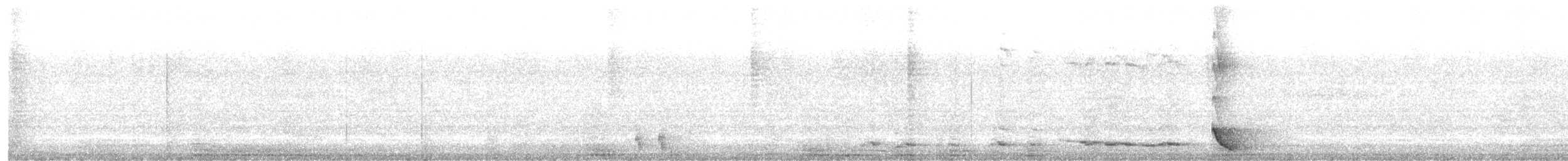 Satin Bowerbird - ML646992879