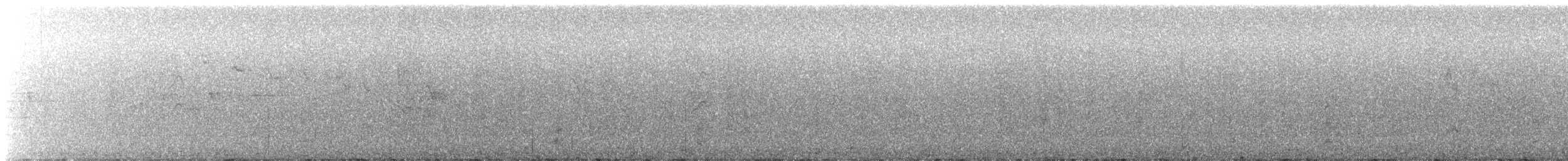 gullissetyrann - ML646992985