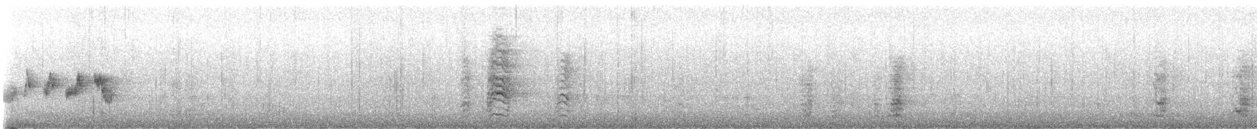 rødflekkparakitt - ML646993007