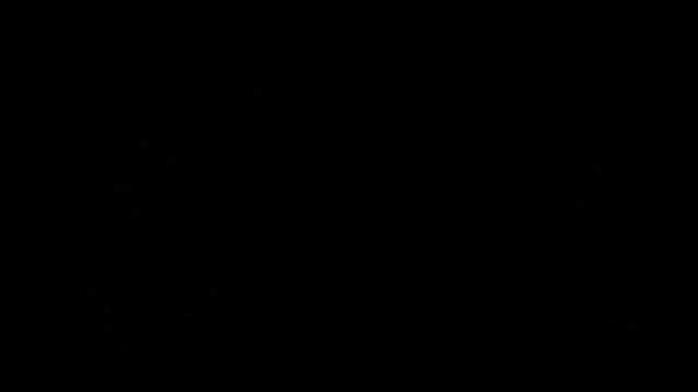 Сова неоарктична - ML646993842