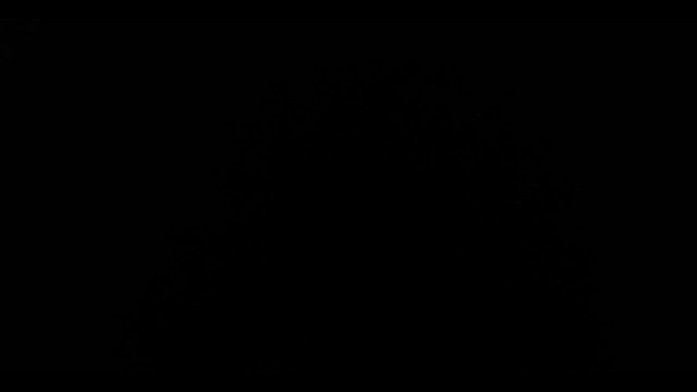 Сова неоарктична - ML646993850