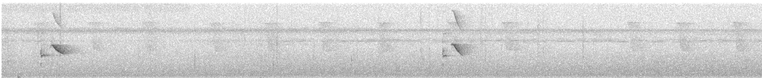 Saltarín Rayado Occidental - ML646994258