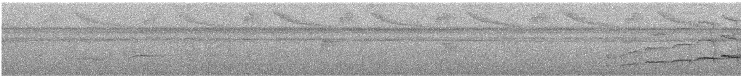 Olivaceous Woodcreeper - ML646994268