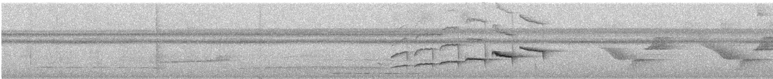 Olivaceous Woodcreeper - ML646994290