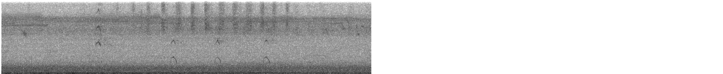 Gray Teal - ML646994352