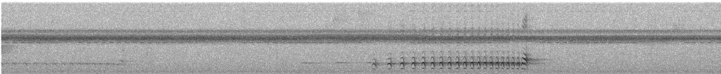 Lined Antshrike - ML646994443