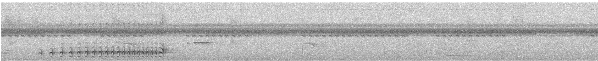 Lined Antshrike - ML646994450