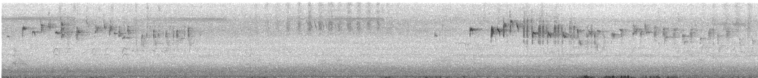 Superb Fairywren - ML646994793