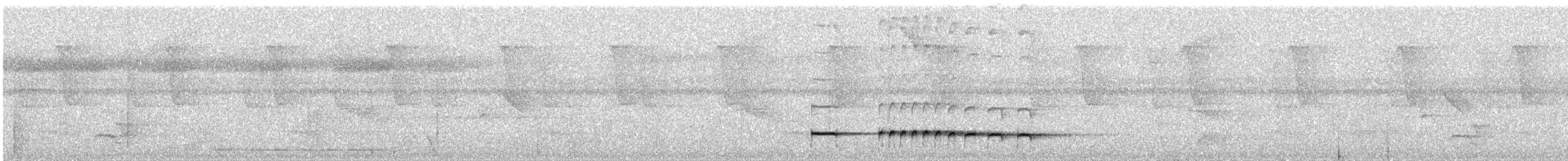 Black-faced Antthrush - ML646994803