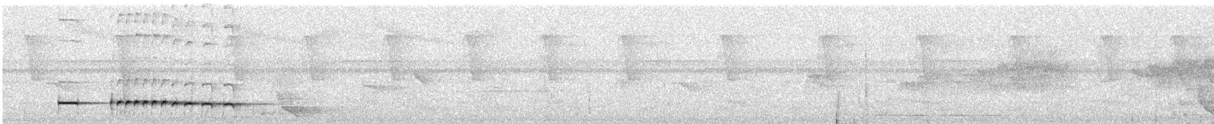 Black-faced Antthrush - ML646994805