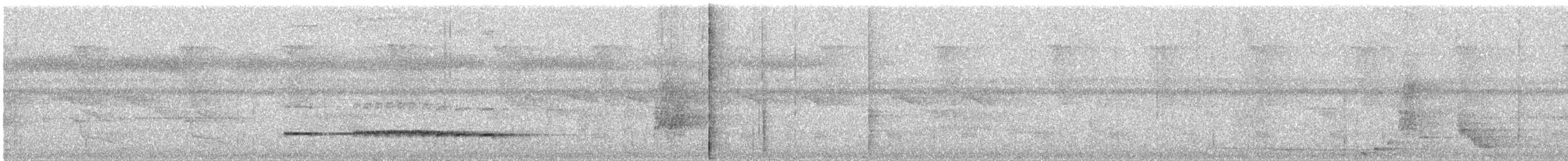 Black-faced Antthrush - ML646994810