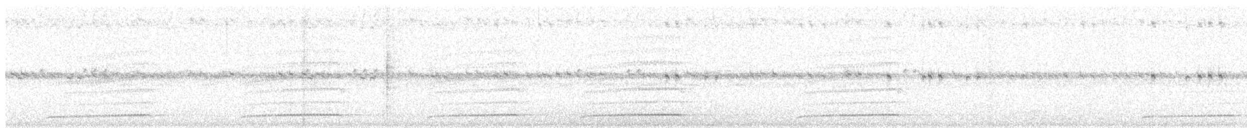 Iparraldeko kiwi arrea - ML646995550