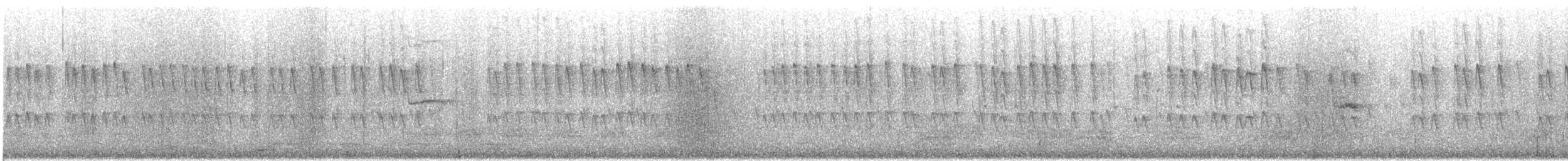 Warbling White-eye - ML646995569