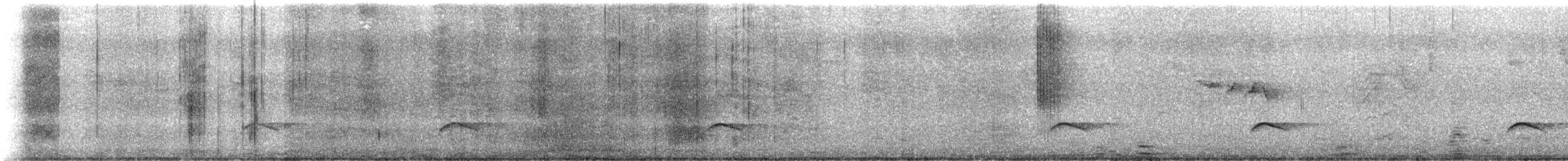 Smoke-colored Pewee - ML646995601