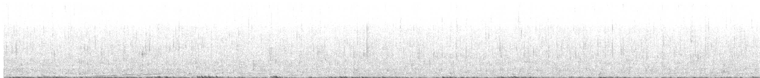 New Zealand Pigeon - ML646996624