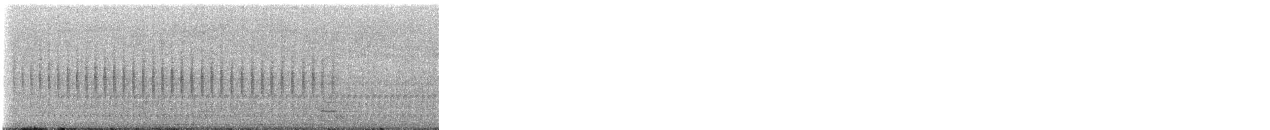 Широкохвістка китайська/маньчжурська - ML646996758