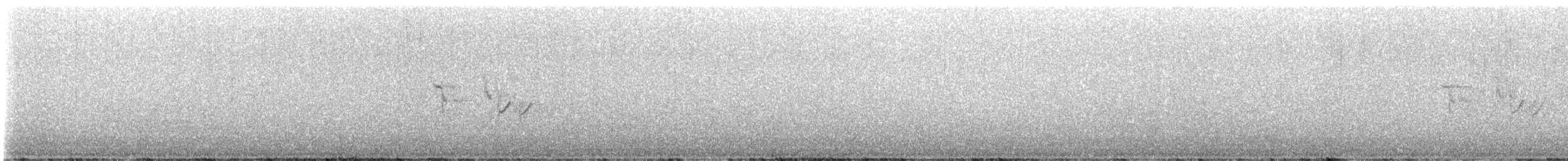 Горобцеподібні sp. - ML646996793