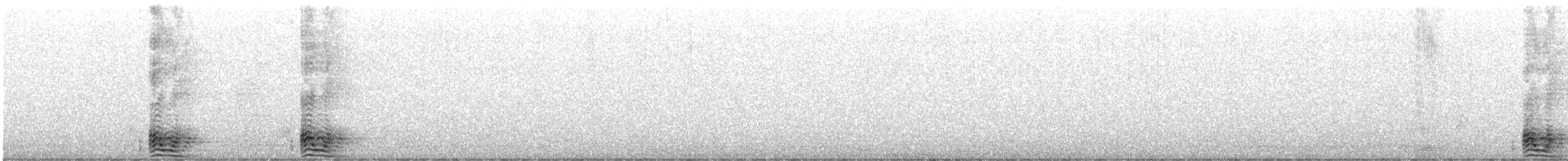 Ворона великодзьоба [група macrorhynchos] - ML646996841