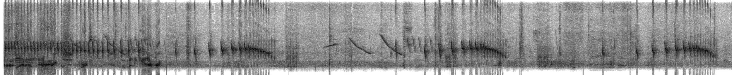 Анумбі смугастоголовий - ML646996879
