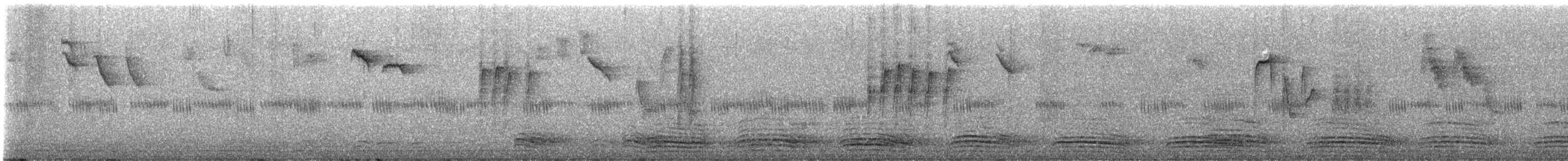 Синиця чорна [група ater] - ML646997004