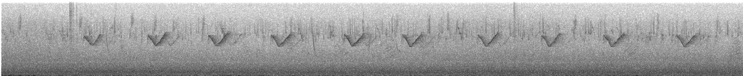 Вівчарик лісовий - ML646997101
