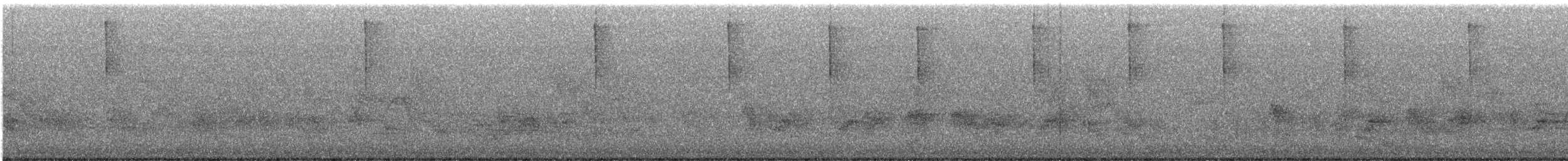 Широкохвістка далекосхідна - ML646997413