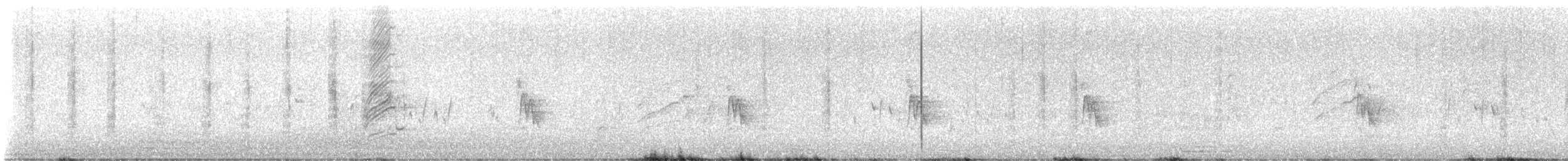 sotsvalestær - ML646997481