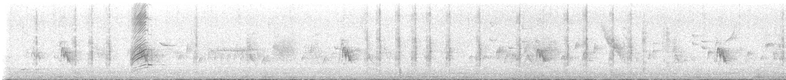 sotsvalestær - ML646997482