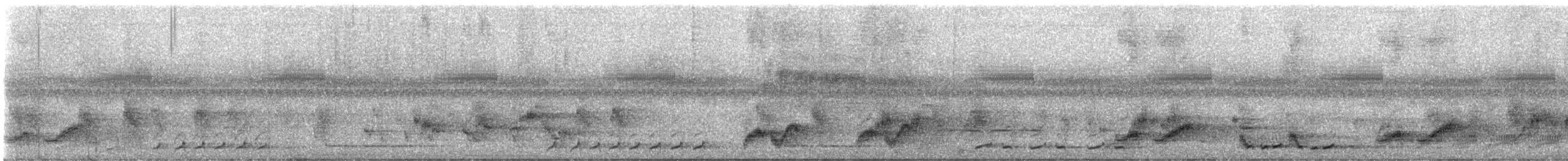 Силамбан тайванський - ML646997825