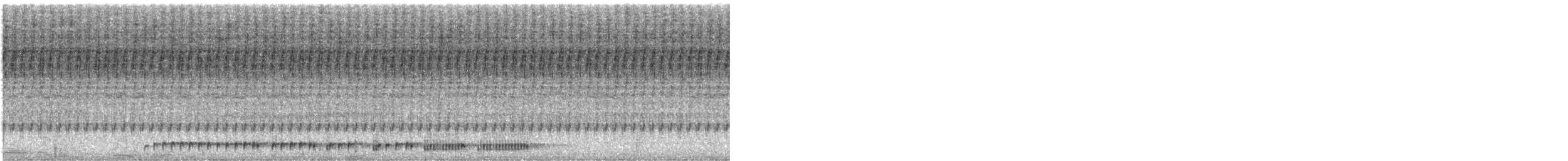 Frogs and Toads - ML646997854