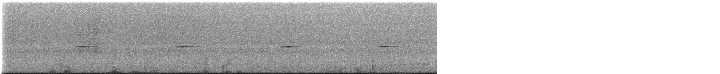 Підпаленик білохвостий (підвид leucura/montium) - ML646997878